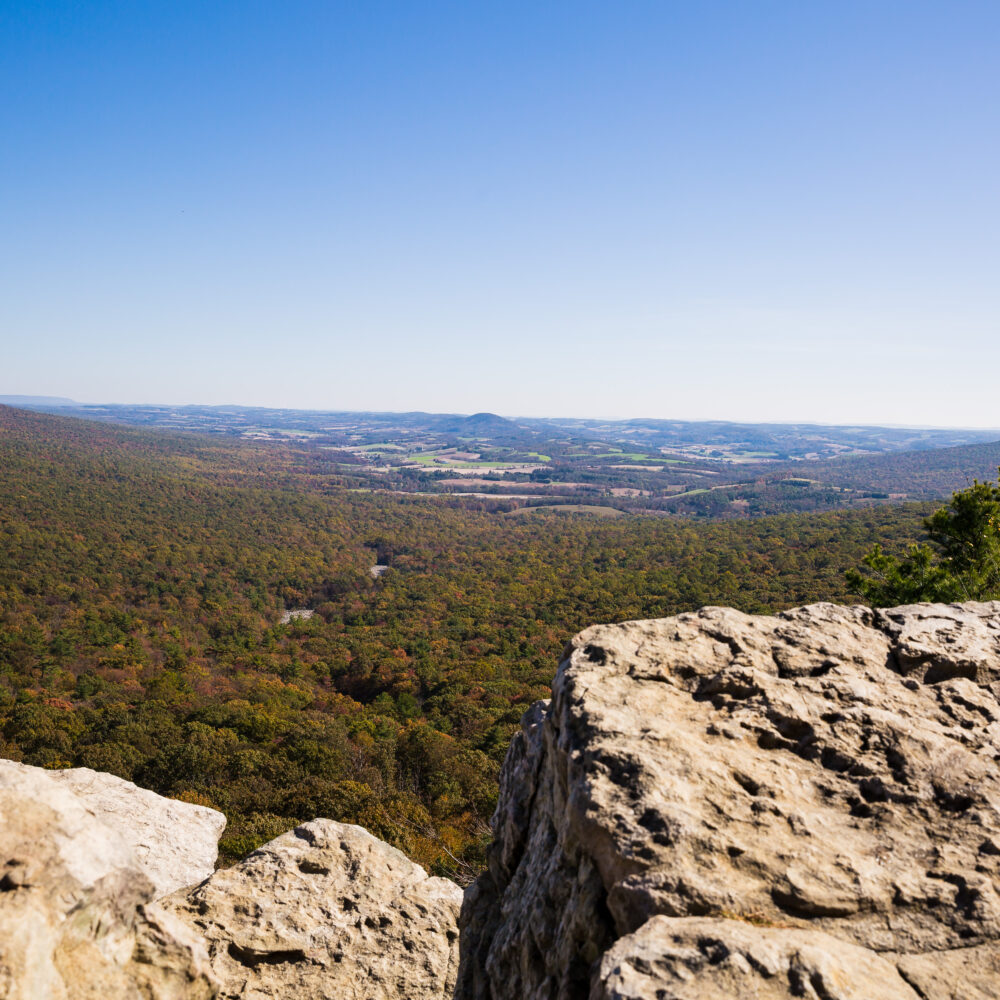 Kittatinny Ridge - Berks Nature