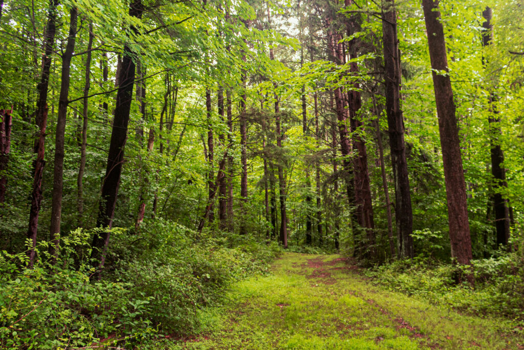 Berks Nature Secures Increased Protections for Local Drinking Water ...